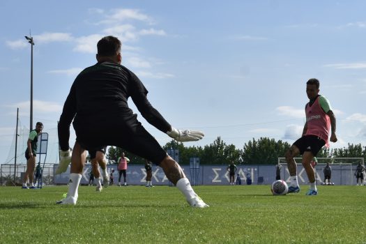 Εξάσκηση στα τελειώματα | pao.gr