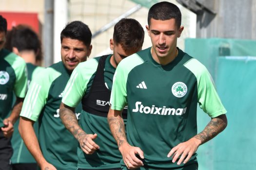 Πρόγραμμα φυσικής κατάστασης | pao.gr