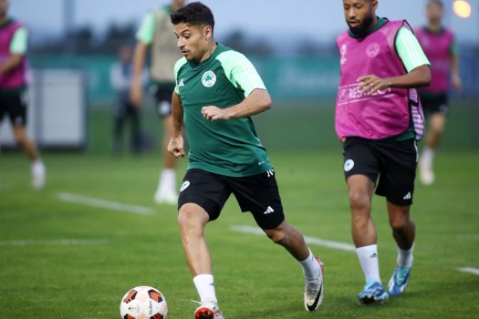 Παιχνίδι με περιορισμούς | pao.gr