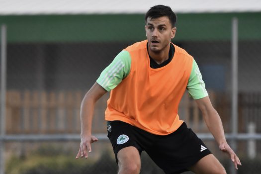 Επιστροφή των διεθνών | pao.gr