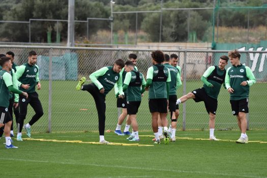 Τουρνουά τεσσάρων ομάδων | pao.gr