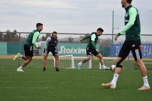 Έμφαση στην τακτική | pao.gr