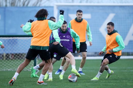 Παιχνίδι στο μισό γήπεδο | pao.gr