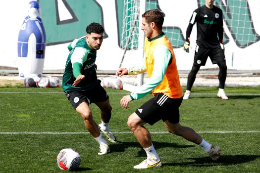 Επιστροφή στις προπονήσεις | pao.gr