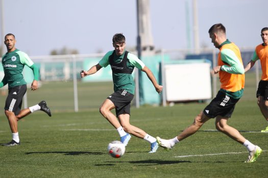 Το βάρος σε κυκλοφορία μπάλας και τελειώματα | pao.gr