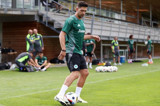 Ελληνική προσθήκη | pao.gr