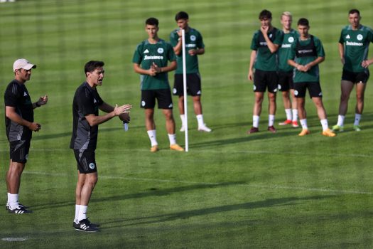 Το πρέσινγκ και η σωστή κυκλοφορία μπάλας | pao.gr