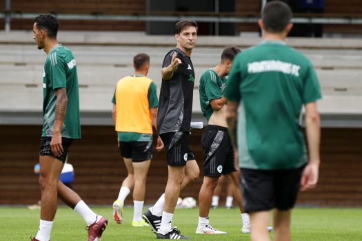 Φυσική κατάσταση και στατικές φάσεις | pao.gr