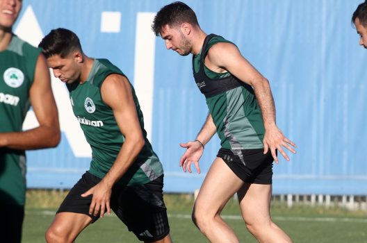 Το βάρος στην κυκλοφορία της μπάλας και στην επιθετική ανάπτυξη | pao.gr