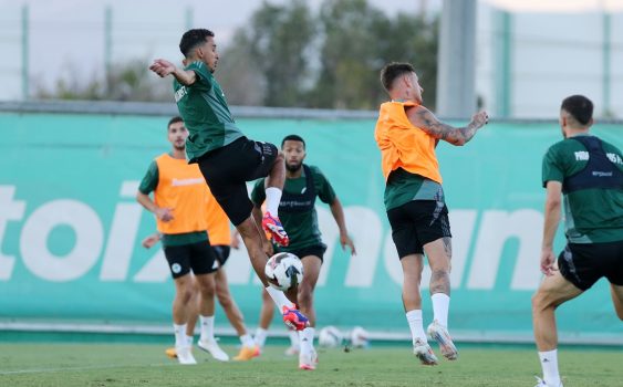 Το βάρος στην κυκλοφορία της μπάλας και στα τελειώματα | pao.gr