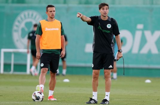 Το βάρος σε κυκλοφορία μπάλας και επιθετική ανάπτυξη | pao.gr