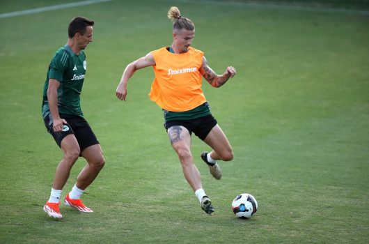 Τακτική και παιχνίδι | pao.gr