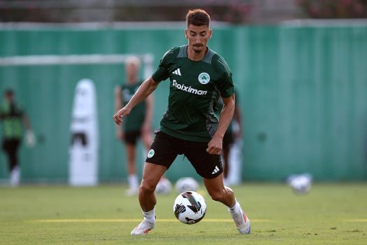 Πρέσινγκ, κυκλοφορία και στατικές φάσεις | pao.gr