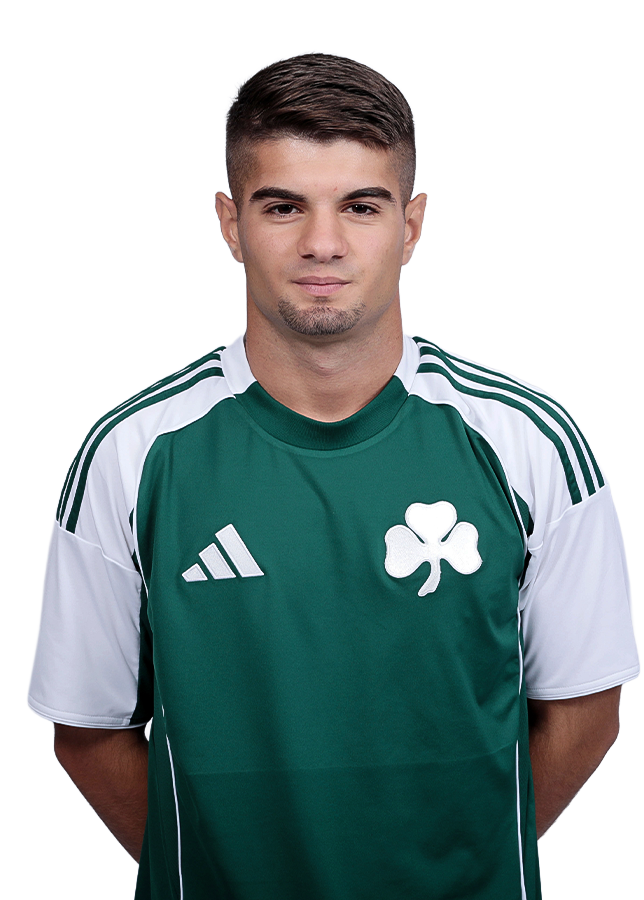 ΔΗΜΗΤΡΗΣ ΑΝΔΡΙΩΤΗΣ