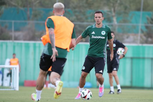 Το βάρος στην τακτική | pao.gr