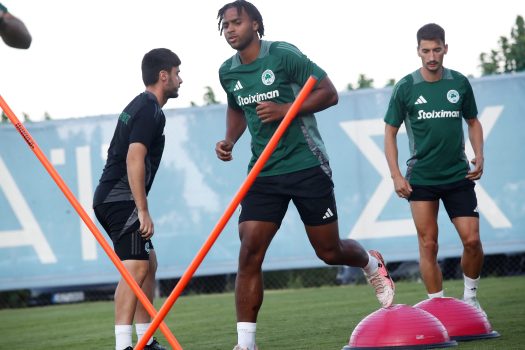 Κυκλοφορία μπάλας και παιχνίδι | pao.gr