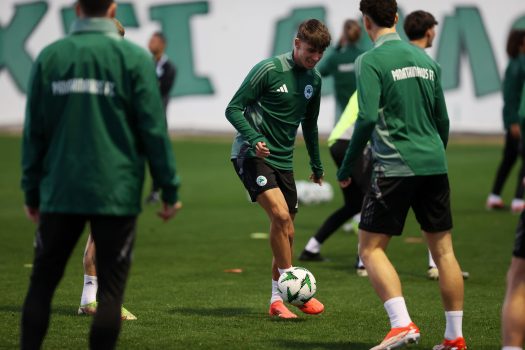 Το βάρος στην κυκλοφορία της μπάλας | pao.gr