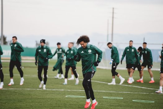 Tακτική και τελειώματα | pao.gr