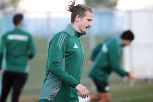 Κυκλοφορία της μπάλας και παιχνίδι | pao.gr