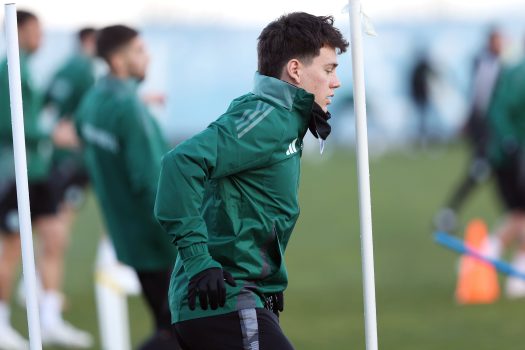 Επιστροφή για Γεντβάι, Πελίστρι | pao.gr