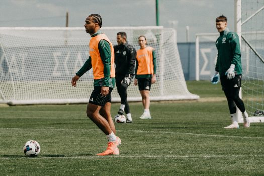 Επιστροφή για τον Πάλμερ – Μπράουν | pao.gr