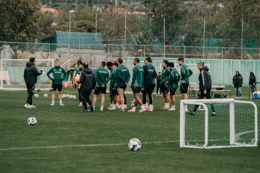 Κυκλοφορία μπάλας και παιχνίδι σε περιορισμένο χώρο | pao.gr