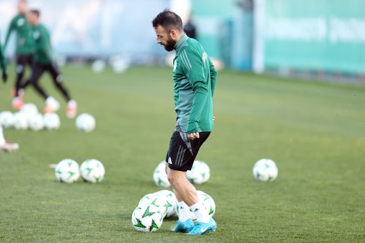 Παιχνίδι στο μισό γήπεδο | pao.gr