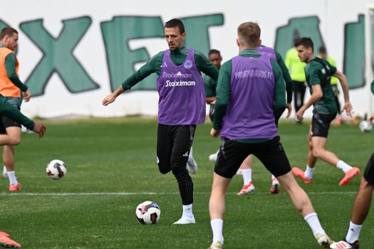 Τακτική και στατικές φάσεις | pao.gr