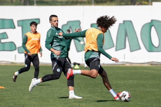 Τελείωματα και παιχνίδι | pao.gr