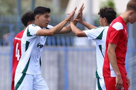 Ολοκλήρωσε με νίκη τις υποχρεώσεις της η Κ17 | pao.gr