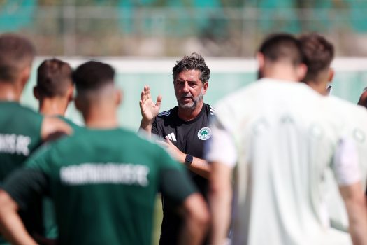 Δουλειά στην ανάπτυξη | pao.gr