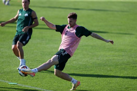 Από το πρέσινγκ και την ανάκτηση έως τη δημιουργία και τις στατικές | pao.gr