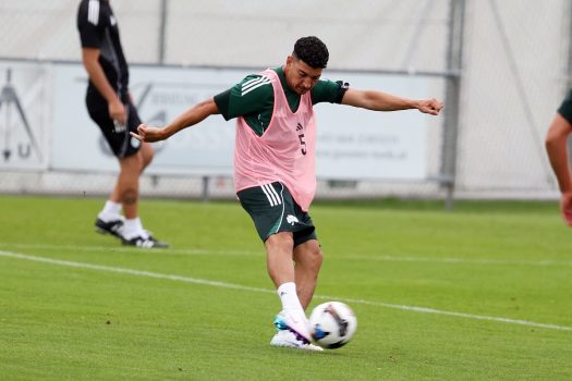 Δανεισμός του Λημνιού | pao.gr