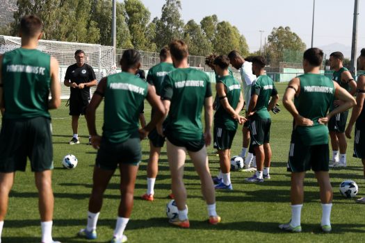 Το βάρος σε ανάπτυξη και τελειώματα | pao.gr