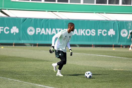 Ανάπτυξη και παιχνίδι | pao.gr