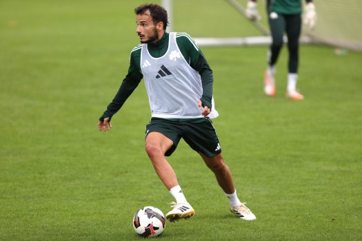 Τελειώματα και στατικές φάσεις | pao.gr