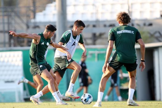 Πρώτη προπόνηση για τον Ντέσερς | pao.gr