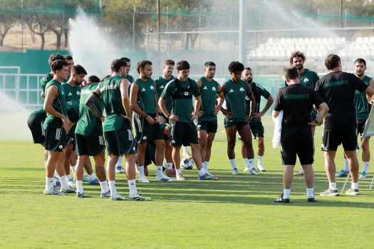 Κυκλοφορία και στατικές φάσεις | pao.gr