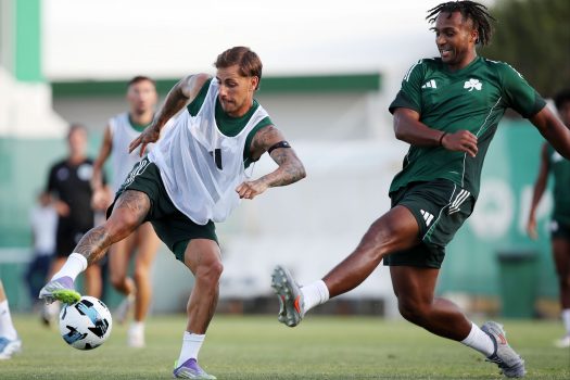 Κυκλοφορία της μπάλας και παιχνίδι | pao.gr