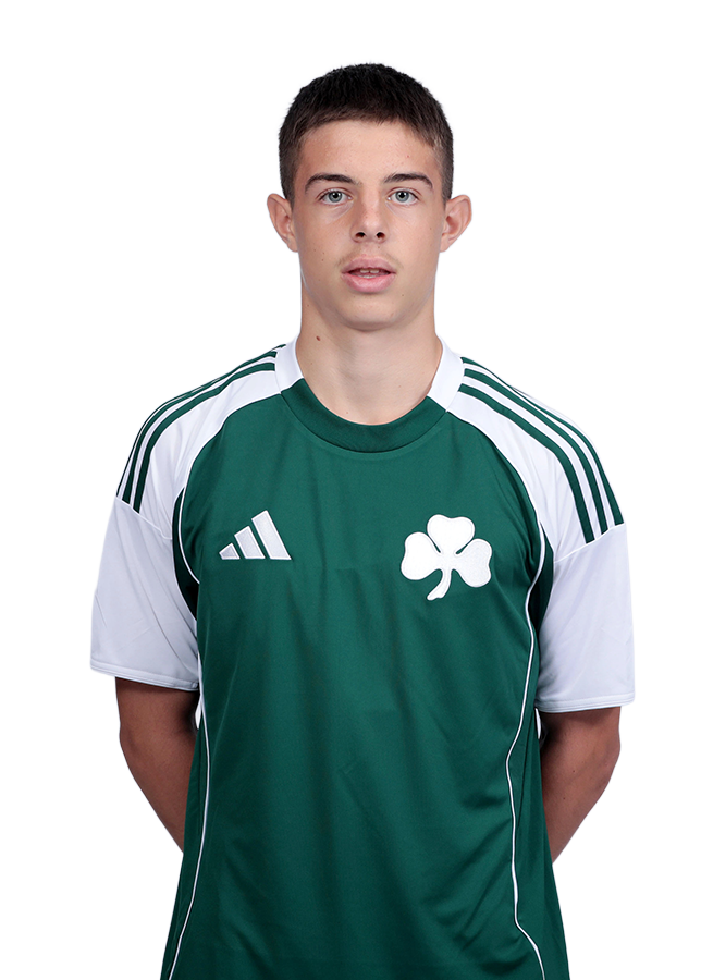 ΠΑΡΑΣΚΕΥΑΣ ΓΚΟΥΛΙΑΜΤΖΗΣ