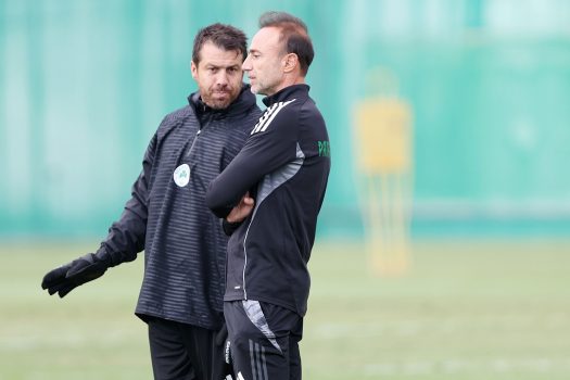 Προπόνηση σε δύο γκρουπ | pao.gr