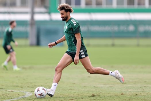 Δουλειά στην τακτική | pao.gr