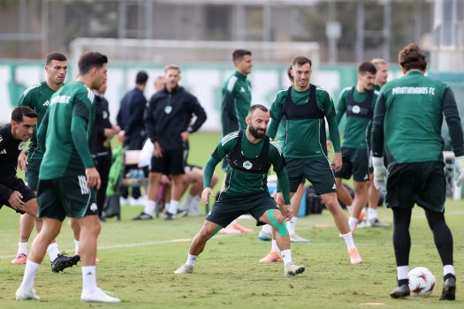 Στατικές φάσεις και τελειώματα | pao.gr