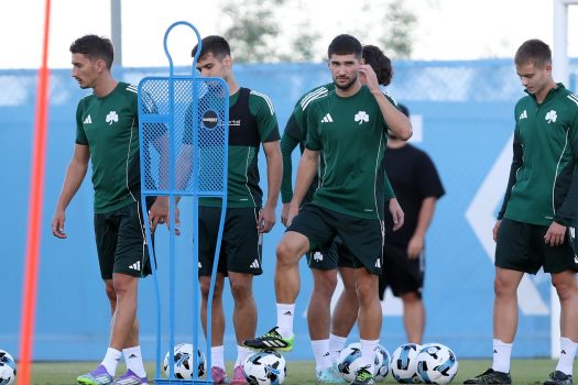 Κυκλοφορία και παιχνίδι | pao.gr