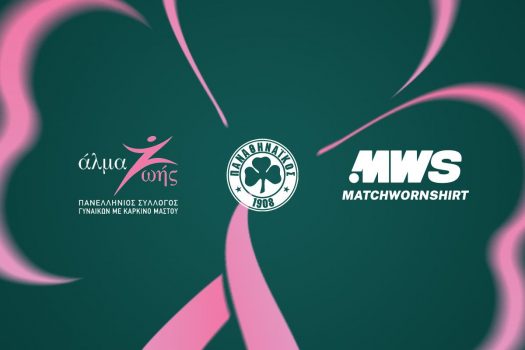 Δημοπρασία για καλό σκοπό | pao.gr