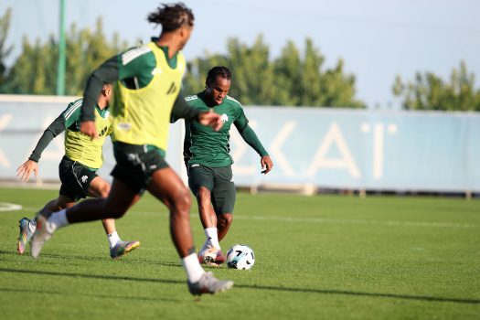 Κυκλοφορία μπάλας, παιχνίδι και στατικές | pao.gr