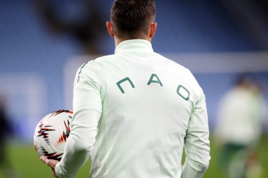 Προπόνηση σε δύο γκρουπ | pao.gr