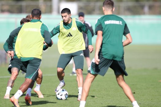 Ενδυνάμωση και παιχνίδι σε περιορισμένο χώρο | pao.gr