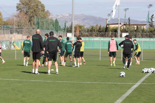 Ασκήσεις ενδυνάμωσης και τακτική | pao.gr