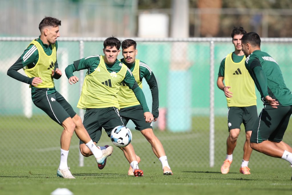 Έμφαση στην τακτική | pao.gr